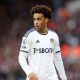 Breaking: Tyler Adams move to Chelsea has collapsed. 27