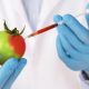 Food biotechnology; importance, applications and disadvantages 3