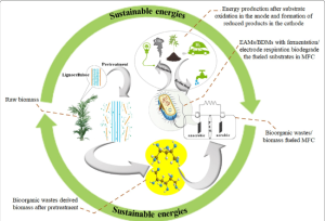 Food biotechnology; importance, applications and disadvantages 2