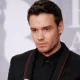 **One Direction Fan Drops Bombshell About Job Loss Following Liam Payne’s Death, Reveals Shocking Details About His Passing** 28