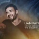 Liam Payne Honored Posthumously with Grammy Award in Emotional Memorial, Stuns Fans Worldwide 9