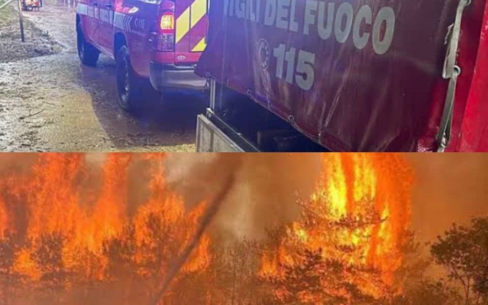 **POŽAR V KRASU: Uničujoči požari zajeli slovenski Kras, stotine gasilcev se borijo za obvladovanje ognja** 28