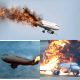 *BREAKING: American Airlines Flight Crashes, Multiple Fatalities Reported* 11