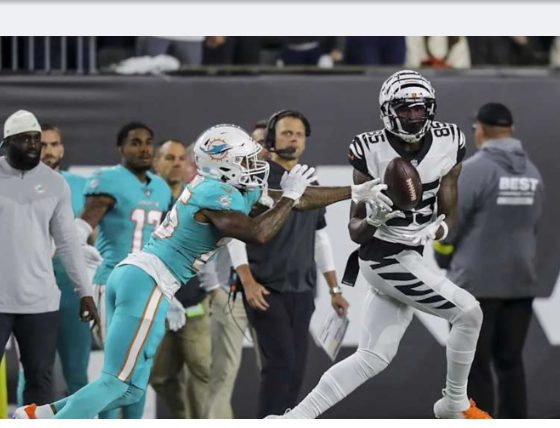 Bengals Break the Bank, but at What Cost? Miami Left Scrambling in NFL’s Financial Nightmare!. 1