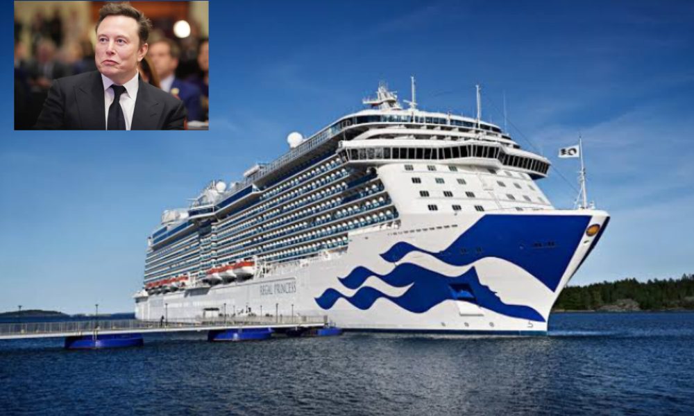 Elon Musk Acquires 65% Stake in Princess Cruises in a Bold Move into the Tourism Industry 1
