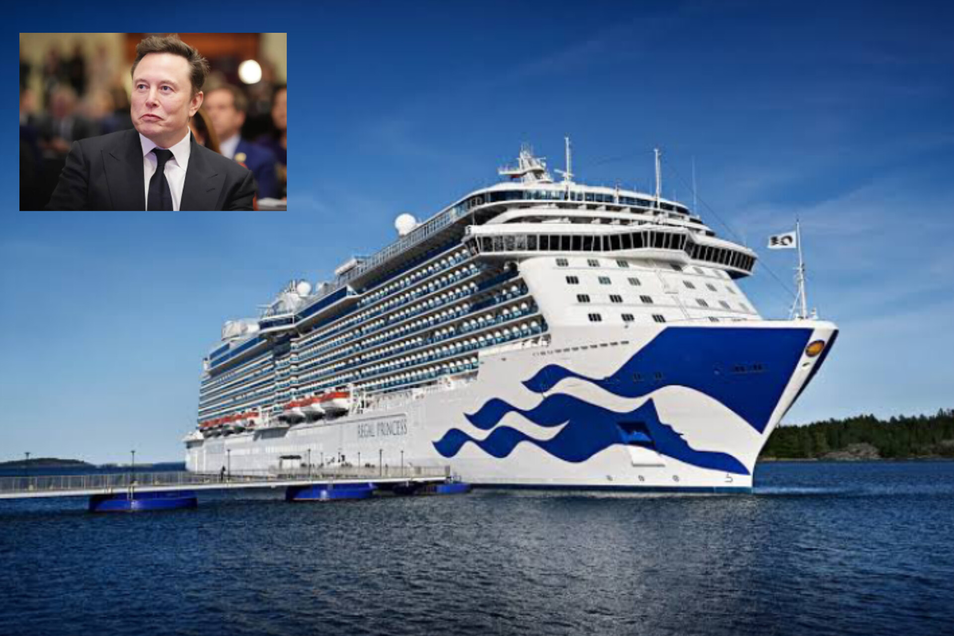 Elon Musk Acquires 65% Stake in Princess Cruises in a Bold Move into the Tourism Industry 1