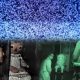 **Zak Bagans Makes Another Devastating Move: Lifts the Infamous Annabelle Doll and Recounts a Horrific Encounter** 6