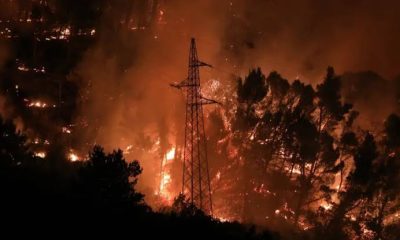**Požar Divlja Dalmacijom, Mnogi Poginuli i Ozlijeđeni** 4