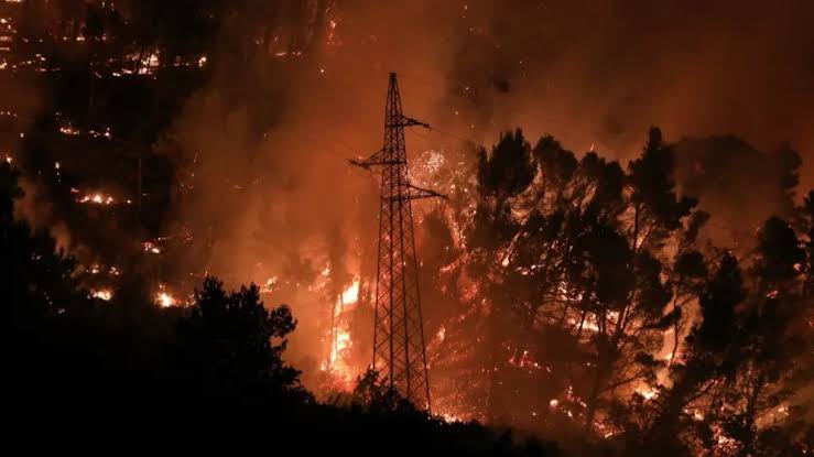 **Požar Divlja Dalmacijom, Mnogi Poginuli i Ozlijeđeni** 1