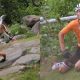 Tragisch verlies in de wielerwereld: Nederlandse ster Mathieu van der Poel overleden na noodlottig ongeval 18